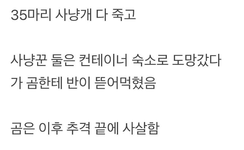 사냥꾼2+사냥개35 vs 흑곰