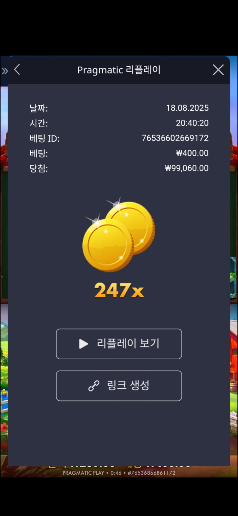 트위티하우스 247배