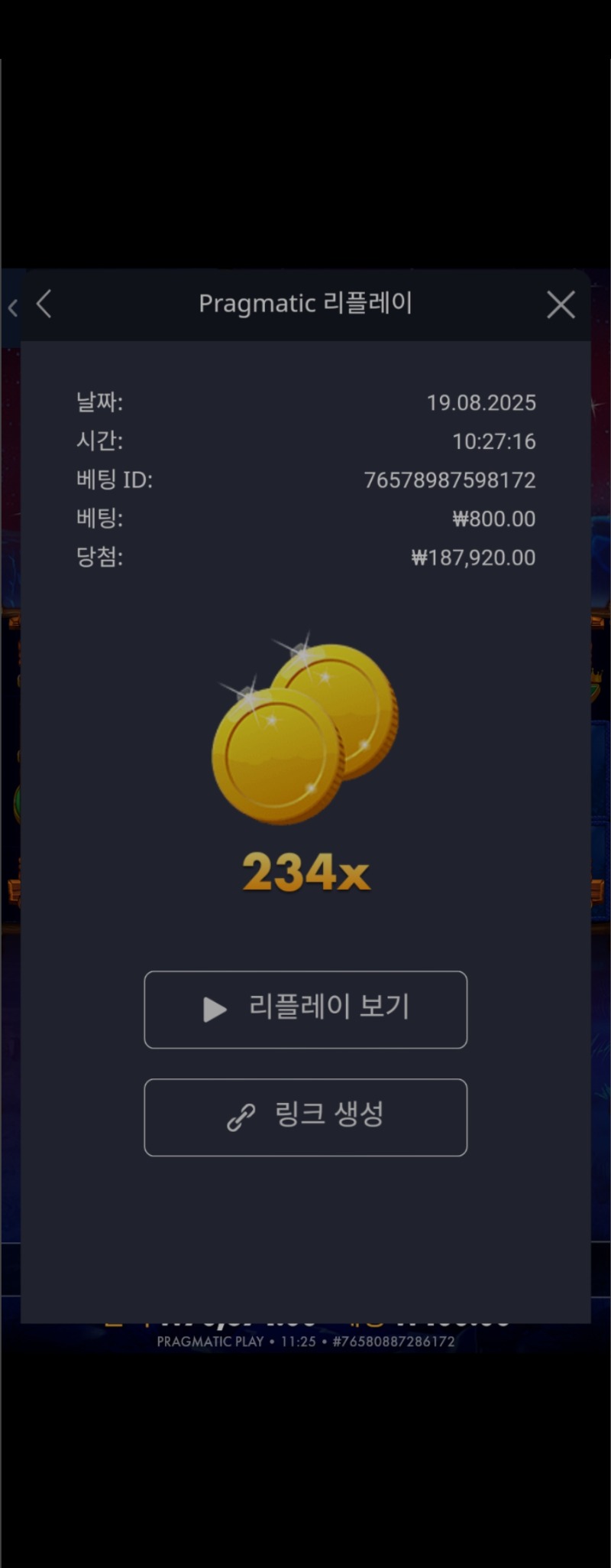 버메가234배