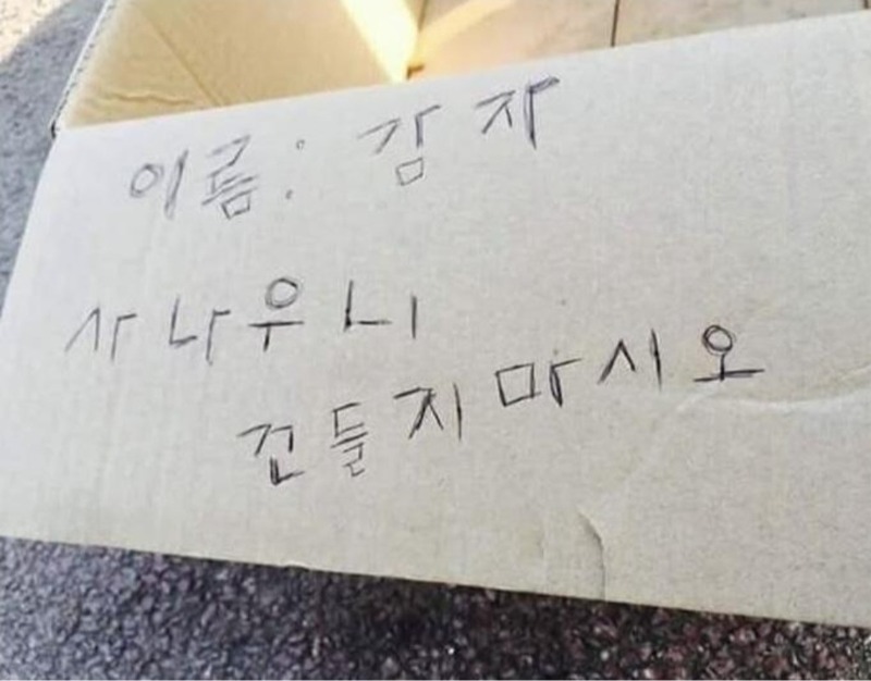 굿밤~(경고)감자 조심하세요 위험!