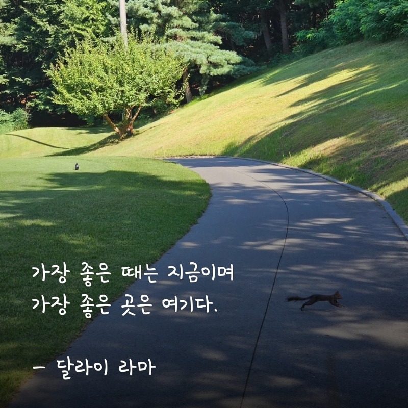 굿밤~(경고)감자 조심하세요 위험!