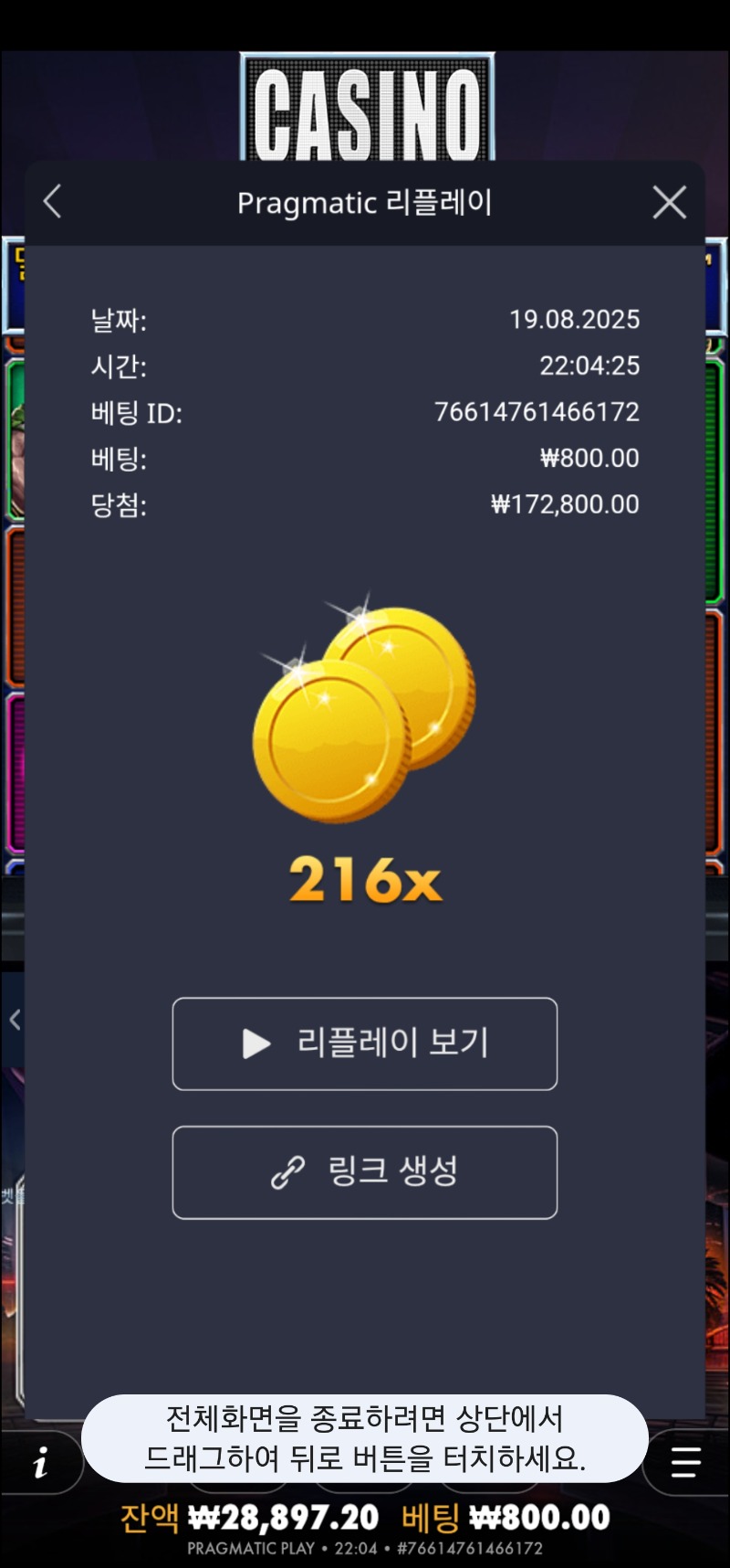 카지노헤이스트 216배
