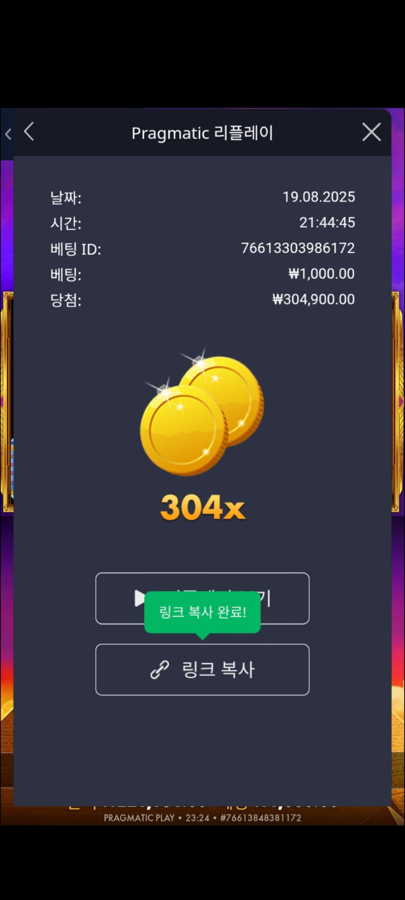 포오기 304배