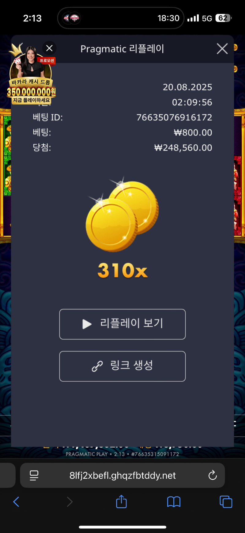 오라메310배