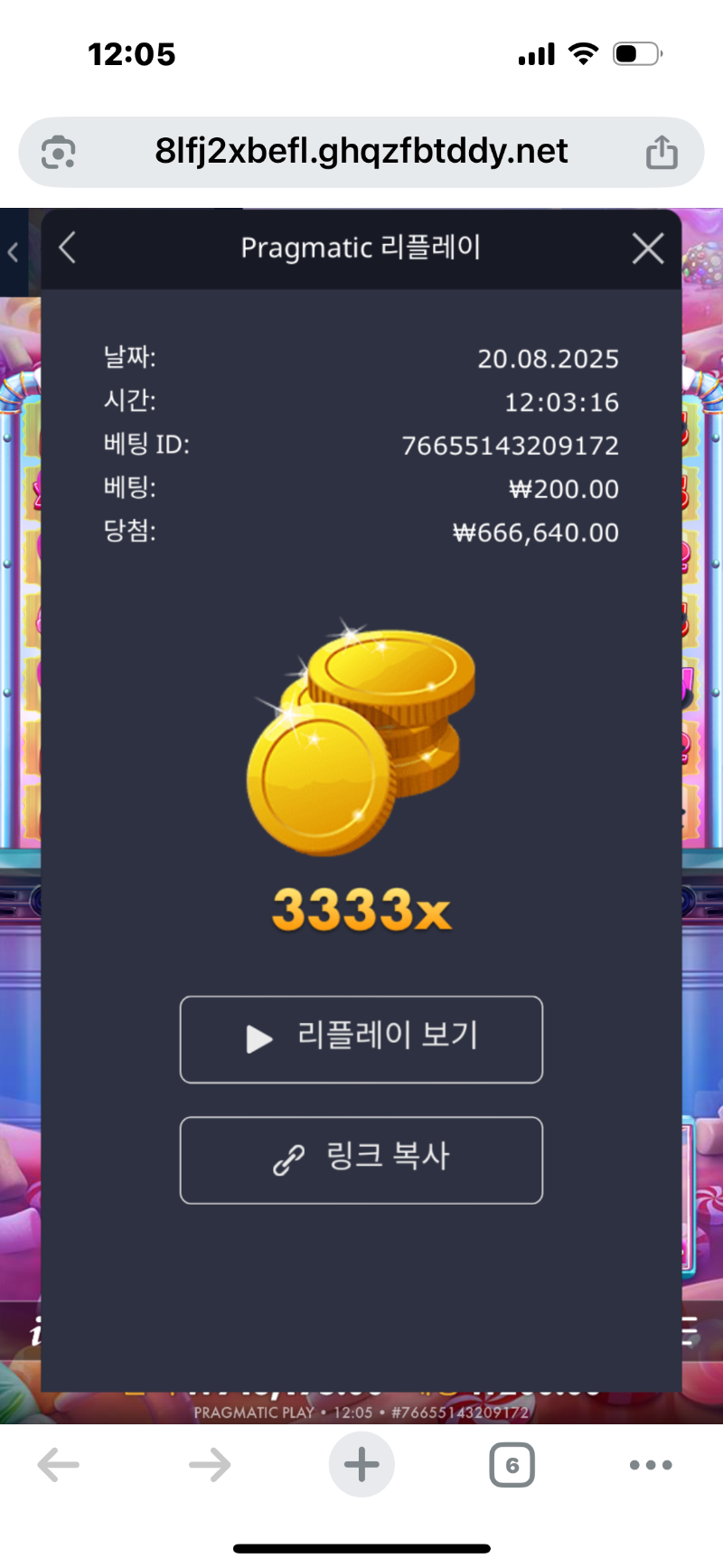 로슈천 3333배