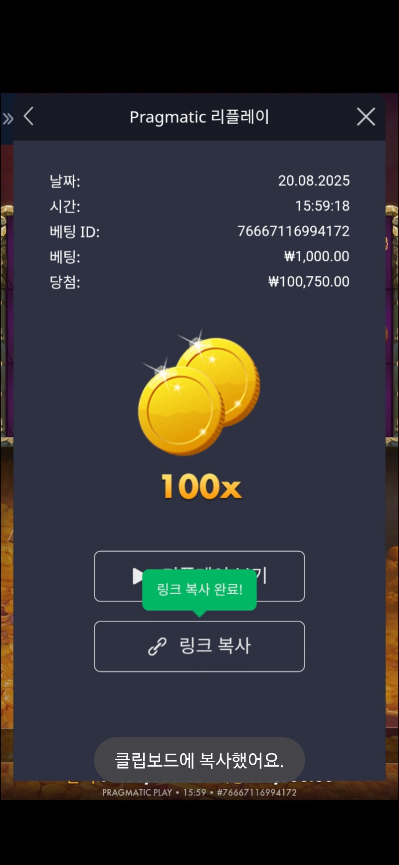 트레져와일드 100배