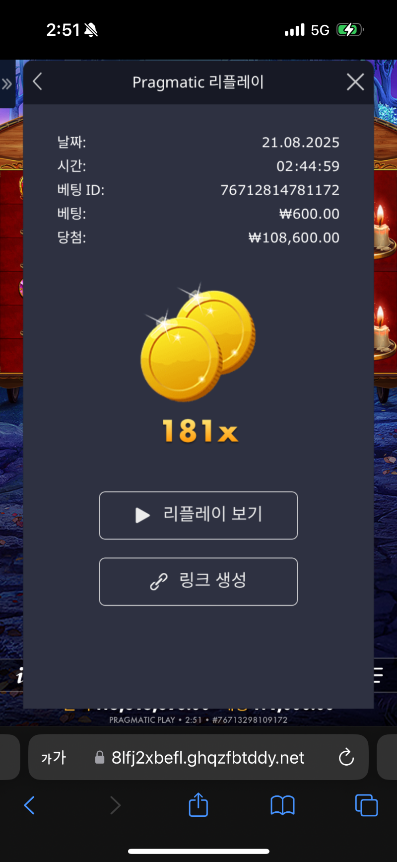 마담 181배