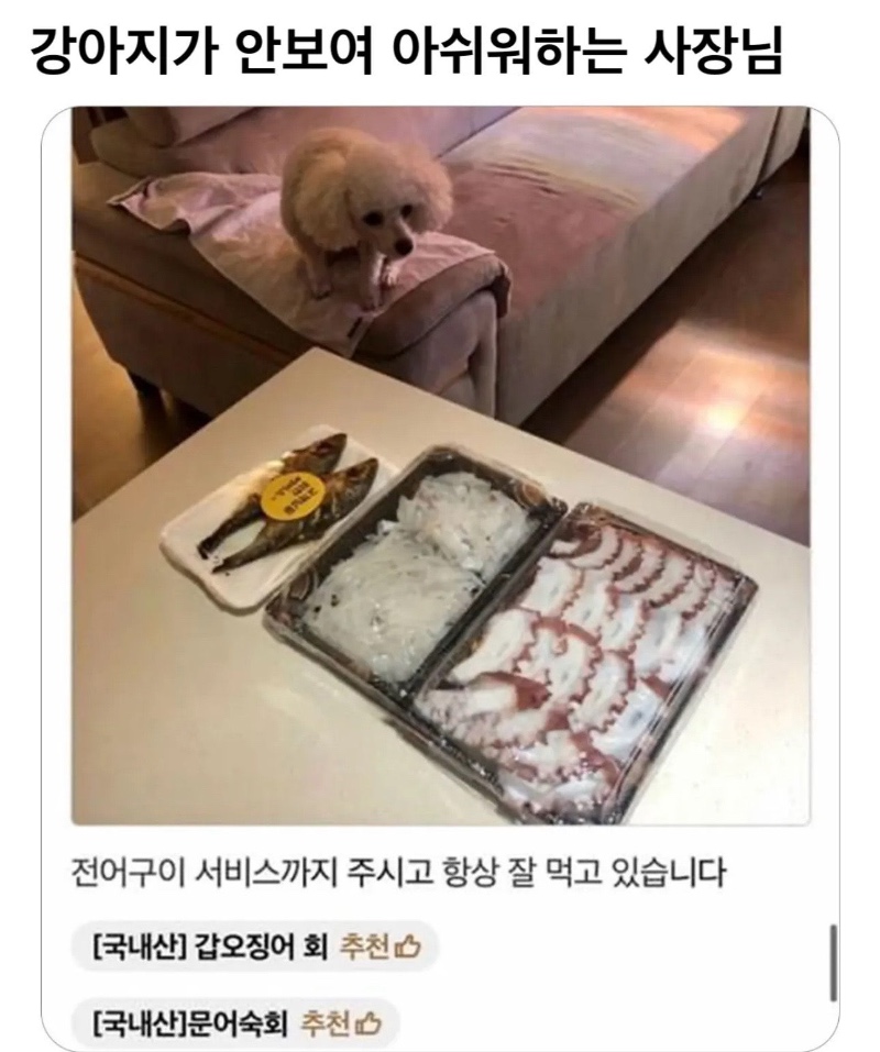 리뷰에 강아지가 없어 아쉬운 사장님