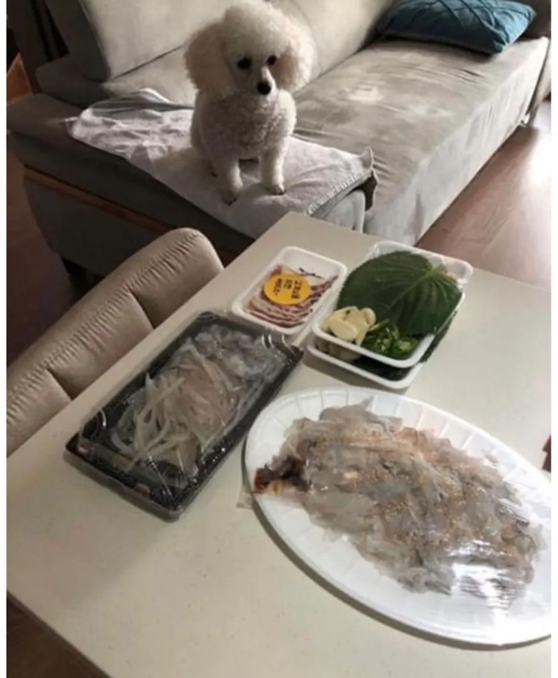 리뷰에 강아지가 없어 아쉬운 사장님