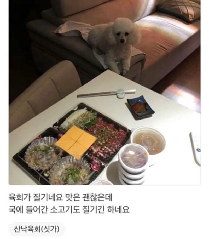 리뷰에 강아지가 없어 아쉬운 사장님