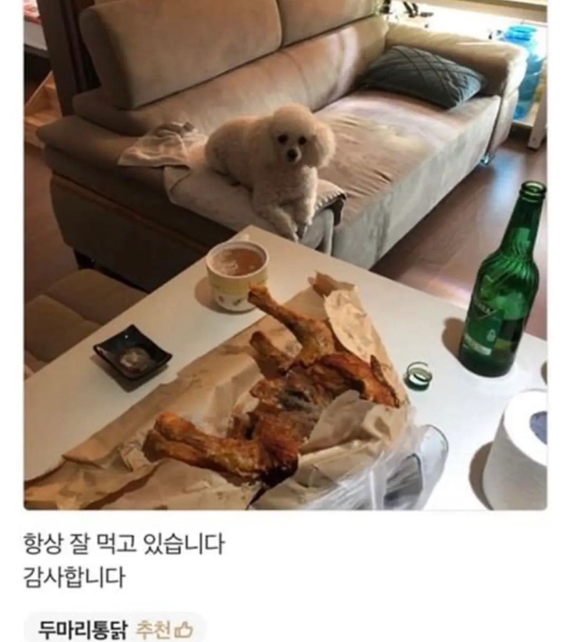 리뷰에 강아지가 없어 아쉬운 사장님
