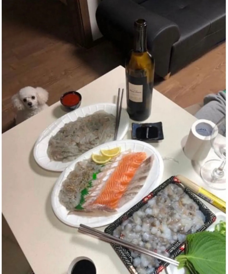 리뷰에 강아지가 없어 아쉬운 사장님