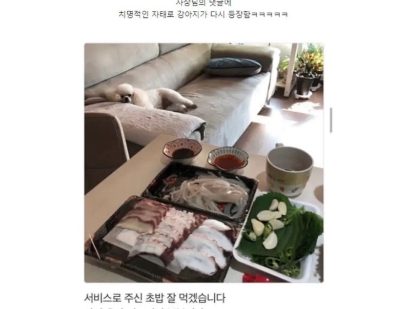 리뷰에 강아지가 없어 아쉬운 사장님