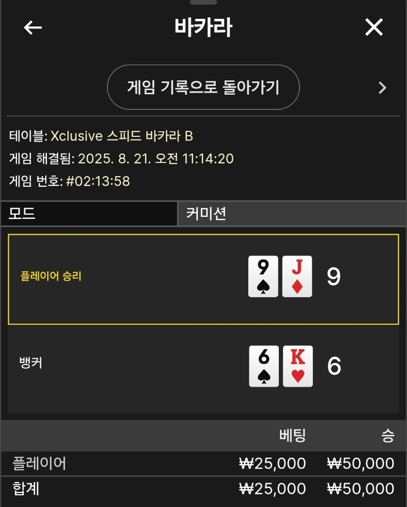 플레이어 승