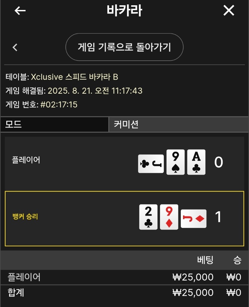 플레이어 패