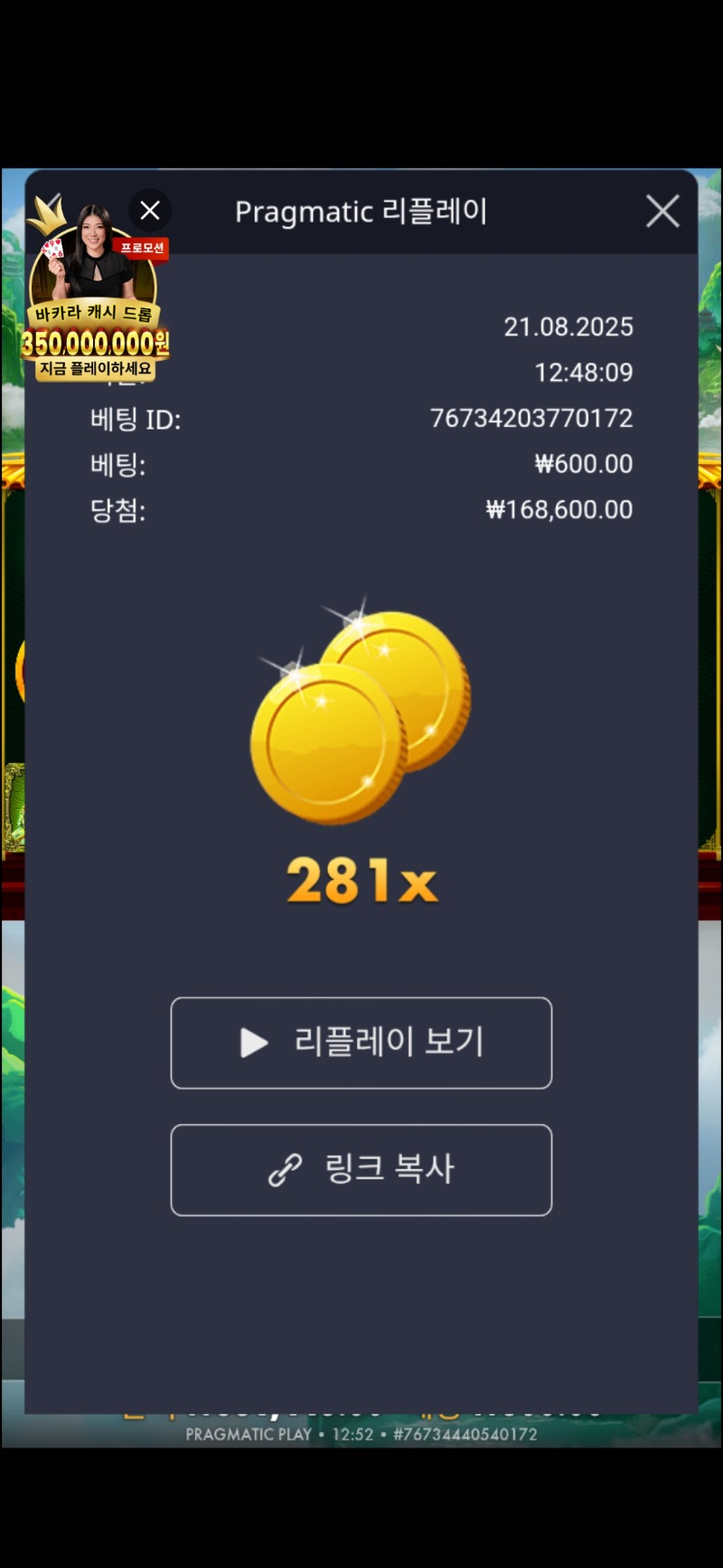 판다2  281