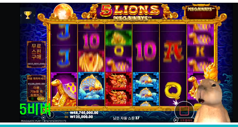 비벼비벼 방송시작~~