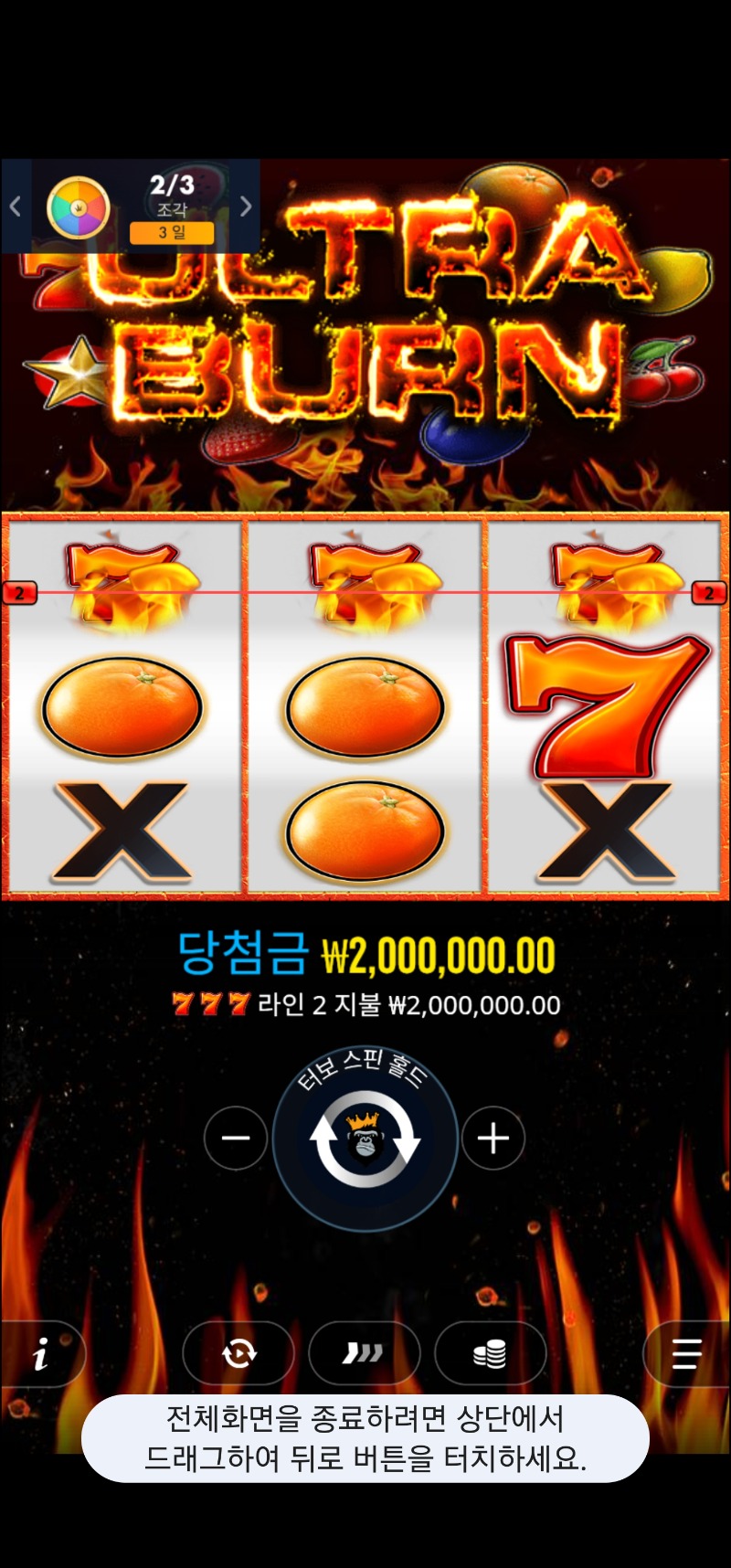 울트라번+다이스 100배씩