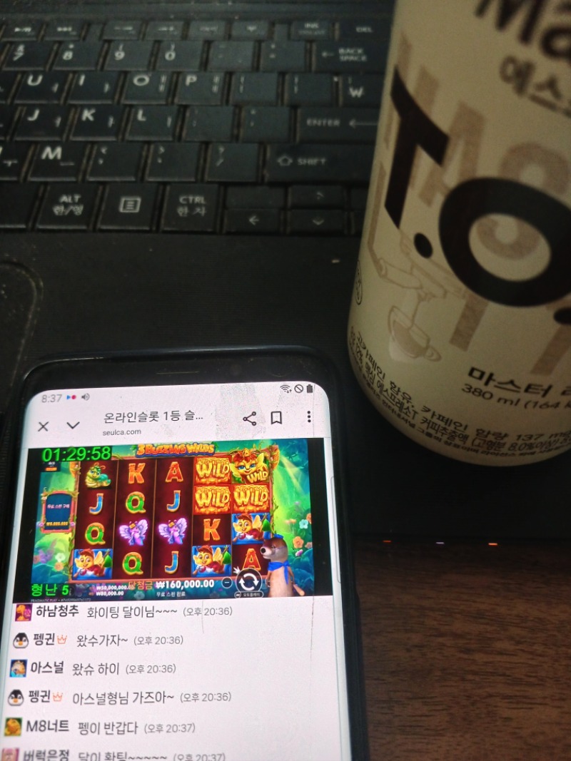 형난 시청 가쫨~