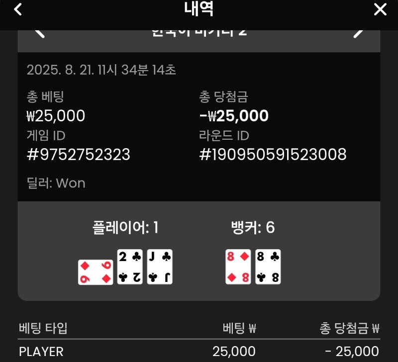 플레이어 패
