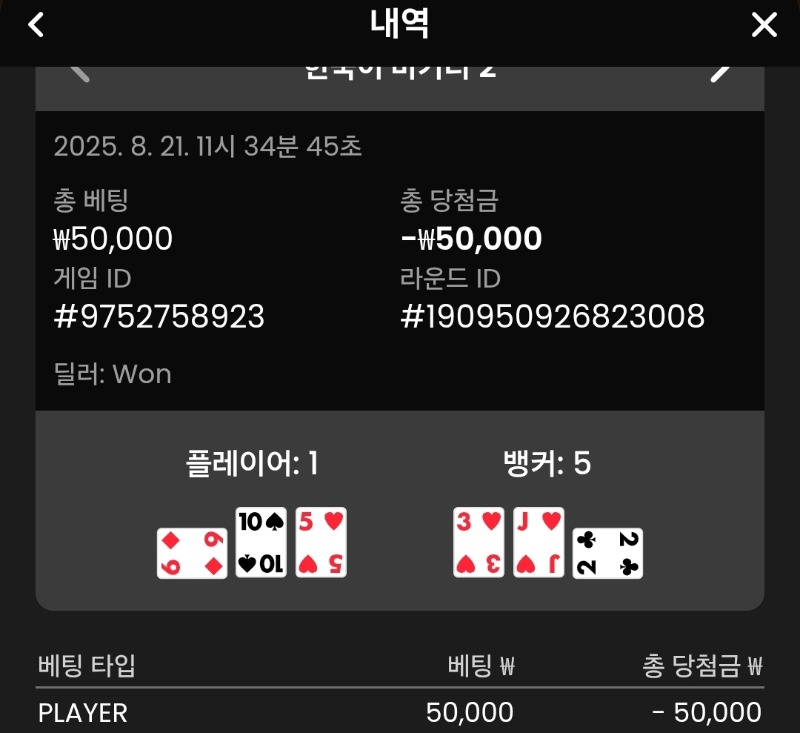 플레이어 2패