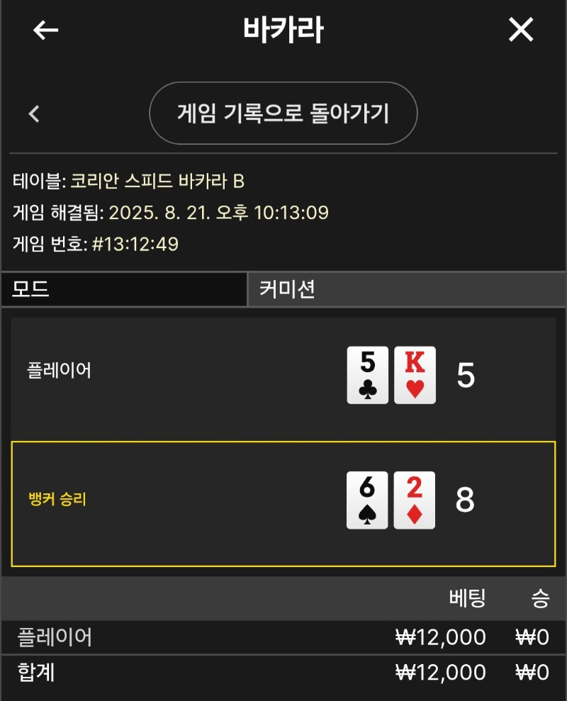 플레이어 패