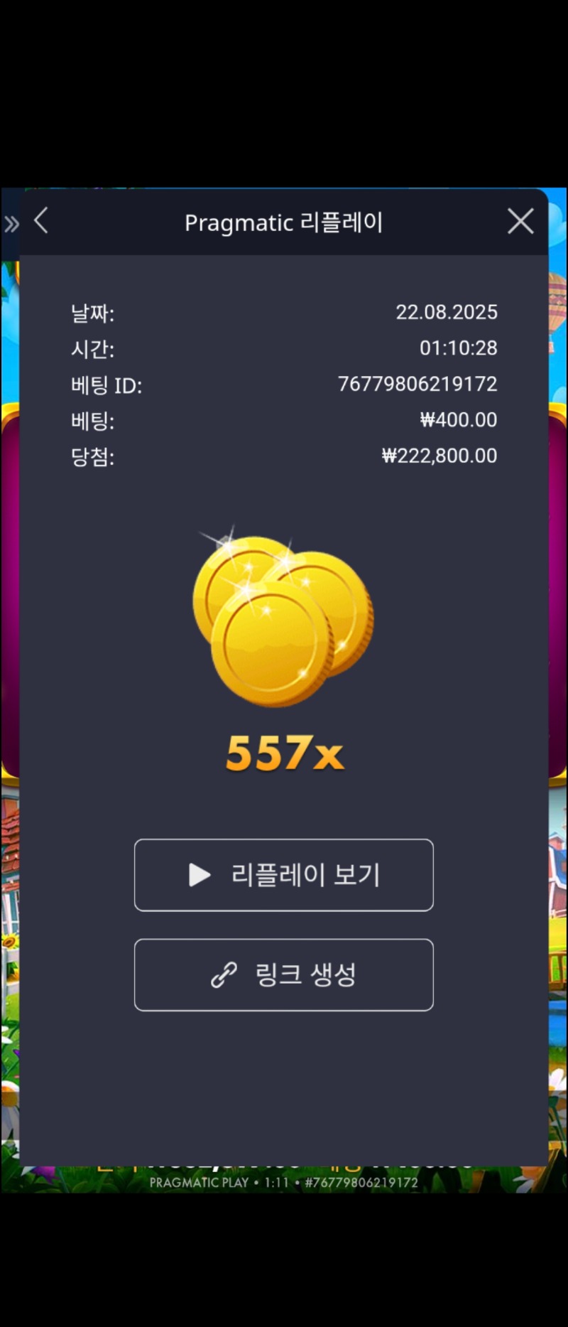 황금삽  557배