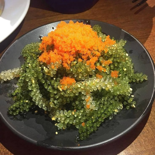 환 공포증 : 바다포도