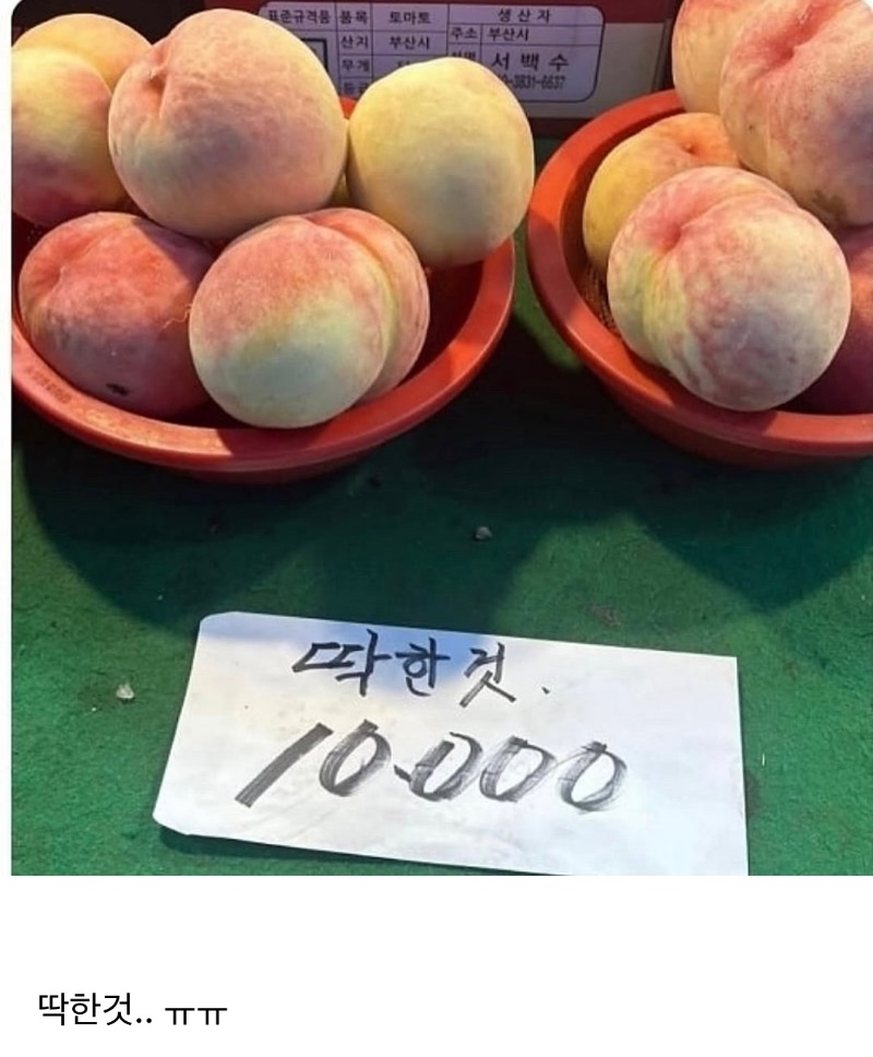 시장에서 발견한 너무 불쌍한 복숭아