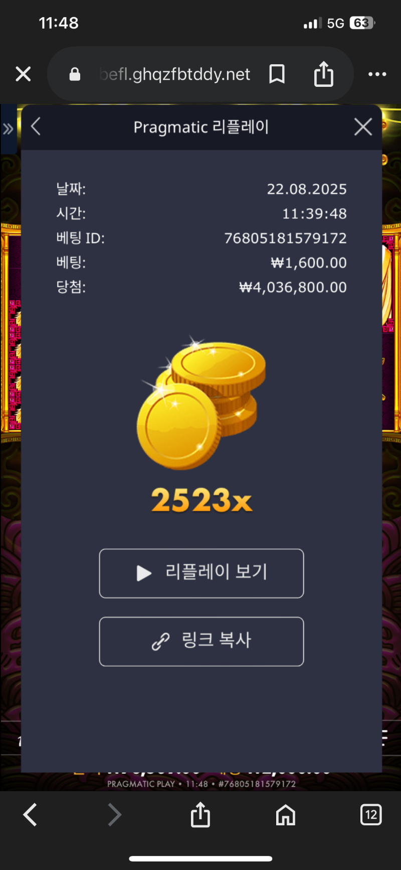 토라메 2523배