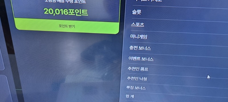 3일동안 우루스에서 전화 ㆍ문자 식사비 주네요)