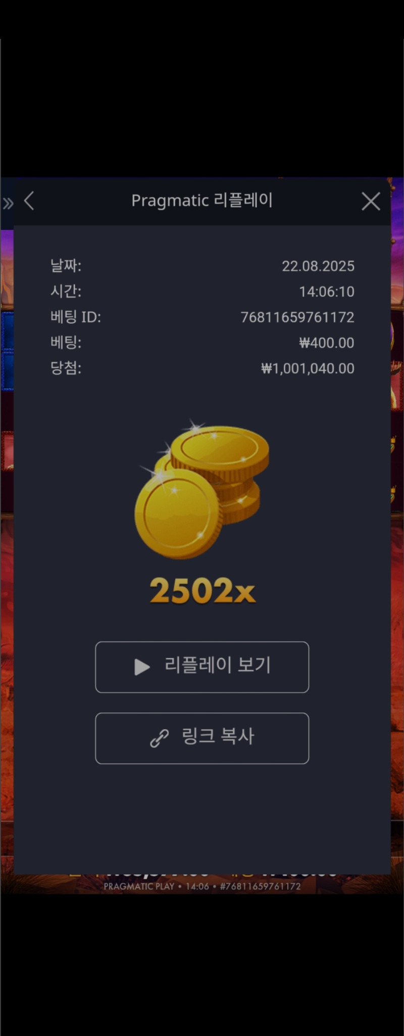 버메가2202배