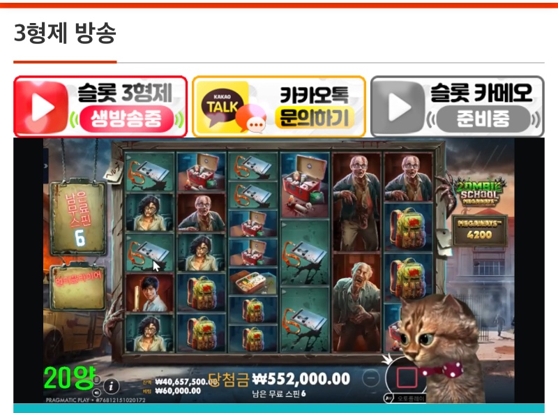 양이 아부지 시작 했네요