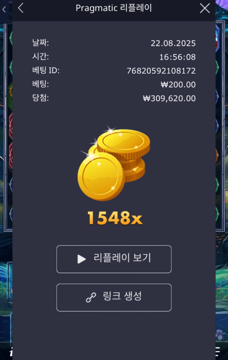 파포 :