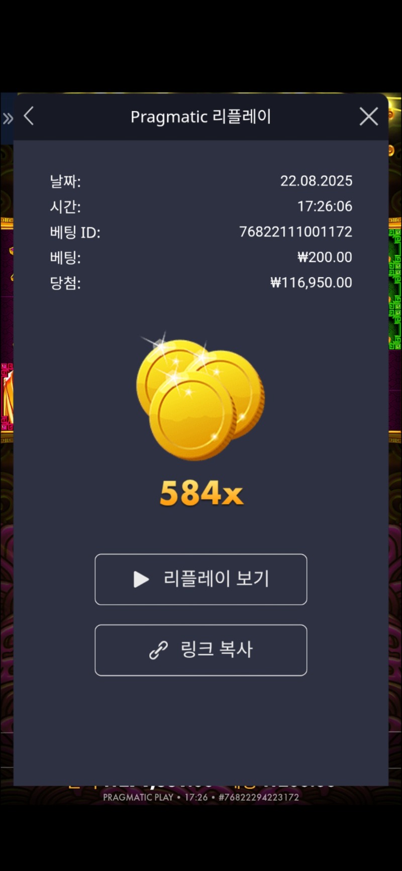 토라메 미스 풀스핀풀곱