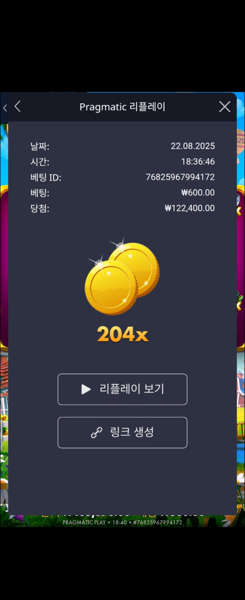 황금조리개204배