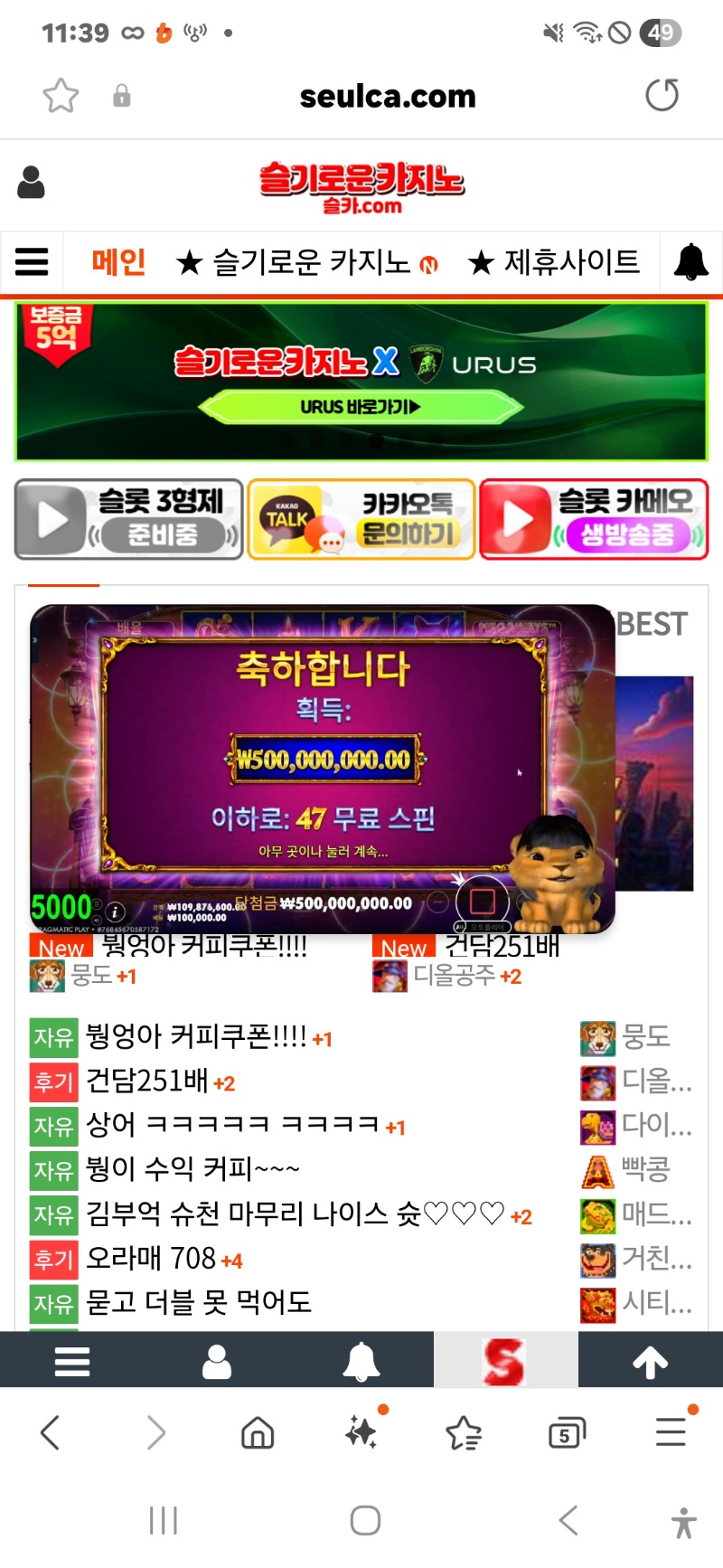 사자 마담 맥스 ㅅㅅㅅㅅ