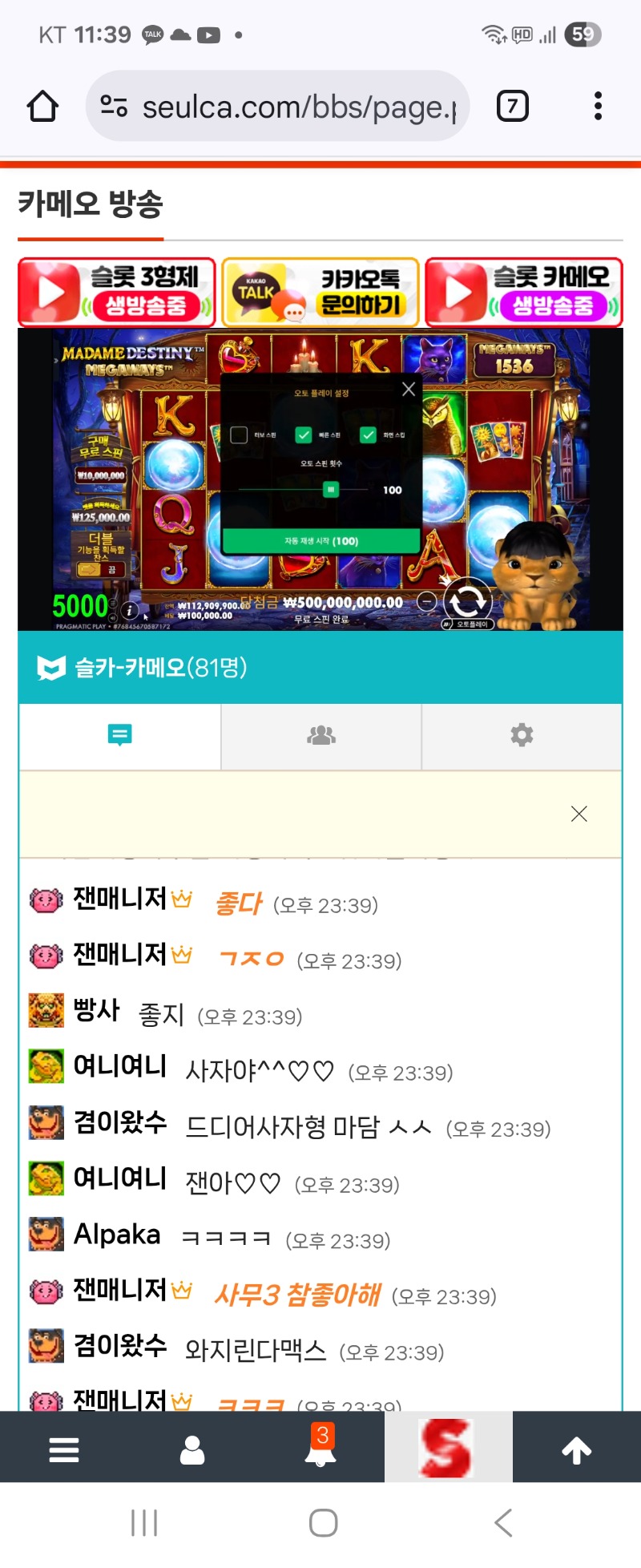 사자 마담맥스 슛 축하합니다