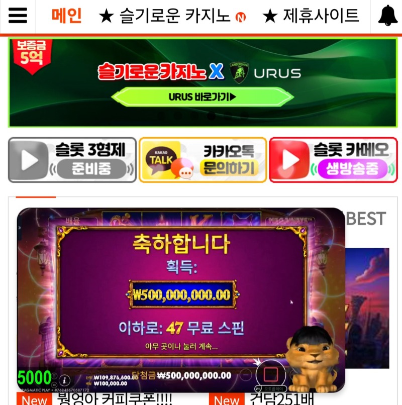 사자 마담 맥스 ㅅㅅㅅ