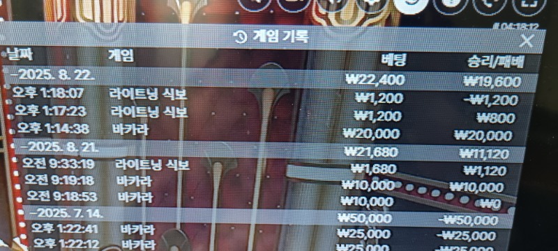 라이트닝 식보 패