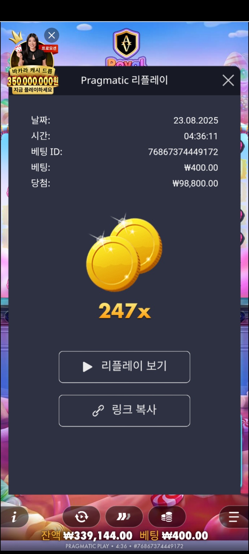 로슈1000/247배