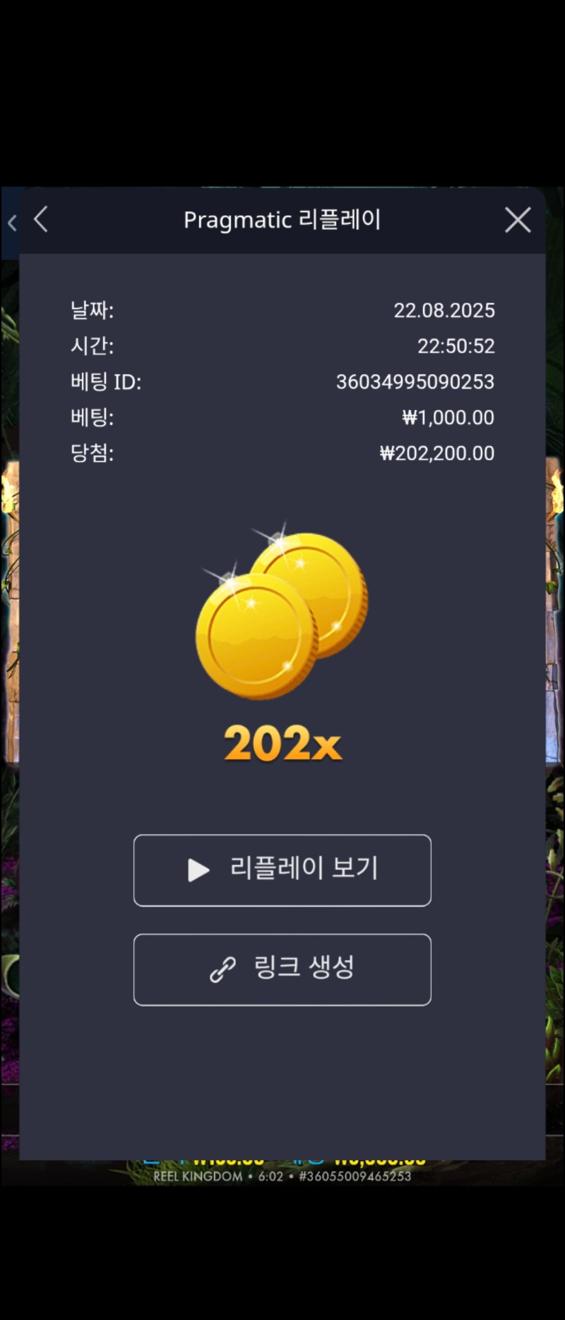 록베가스  202배