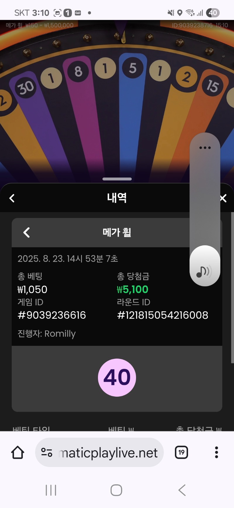 메가휠또이겼다