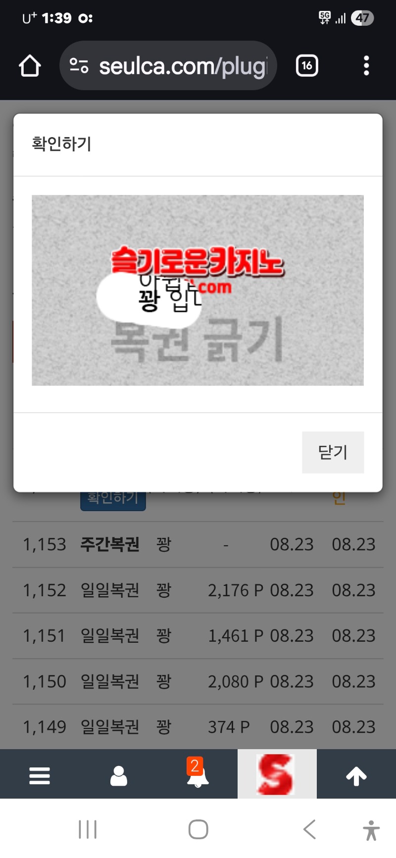 첫일보기 꽝