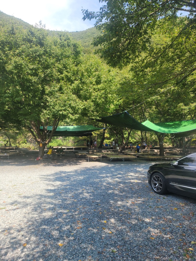 계곡 물놀이
