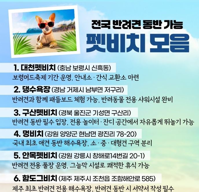팻비치모음