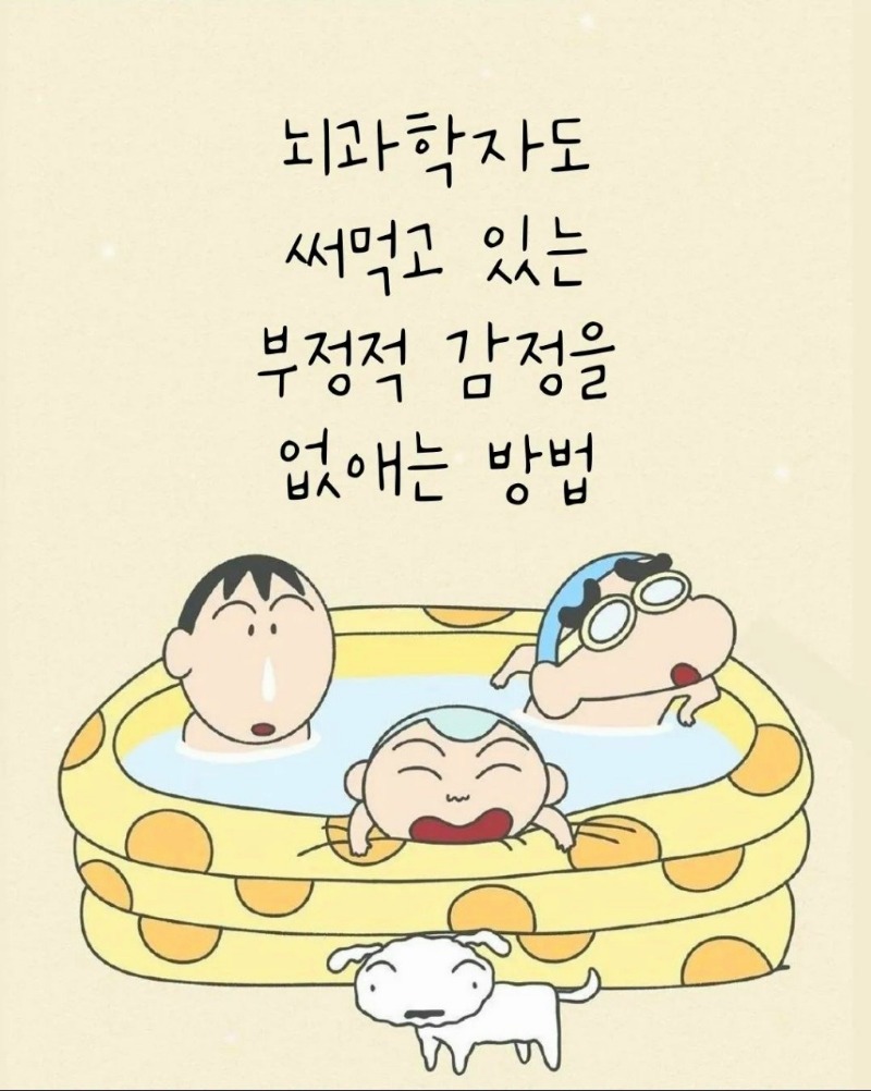 굿밤~뇌 과학자가 추천하는 부정적인 감정 해소법