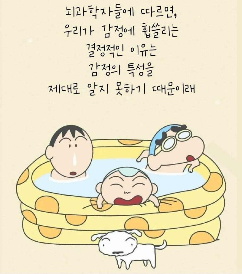 굿밤~뇌 과학자가 추천하는 부정적인 감정 해소법