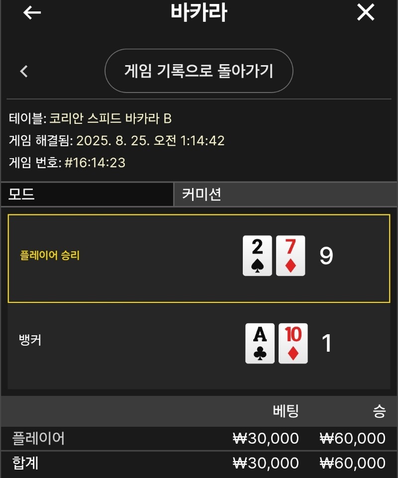 플레이어 승