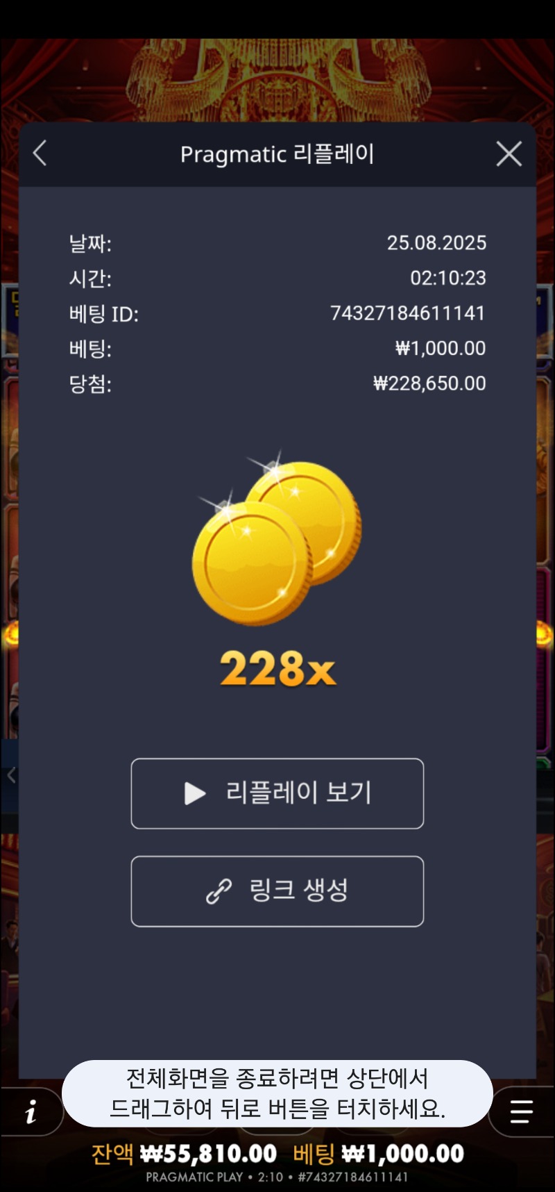 카지노헤이스트 228배